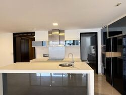 CityVista Residences (D9), Condominium #477514121